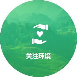 关注环境